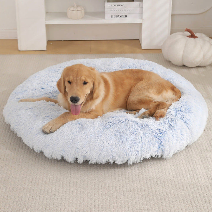 The Perfect Sleeping Solution for Your Furry Friends