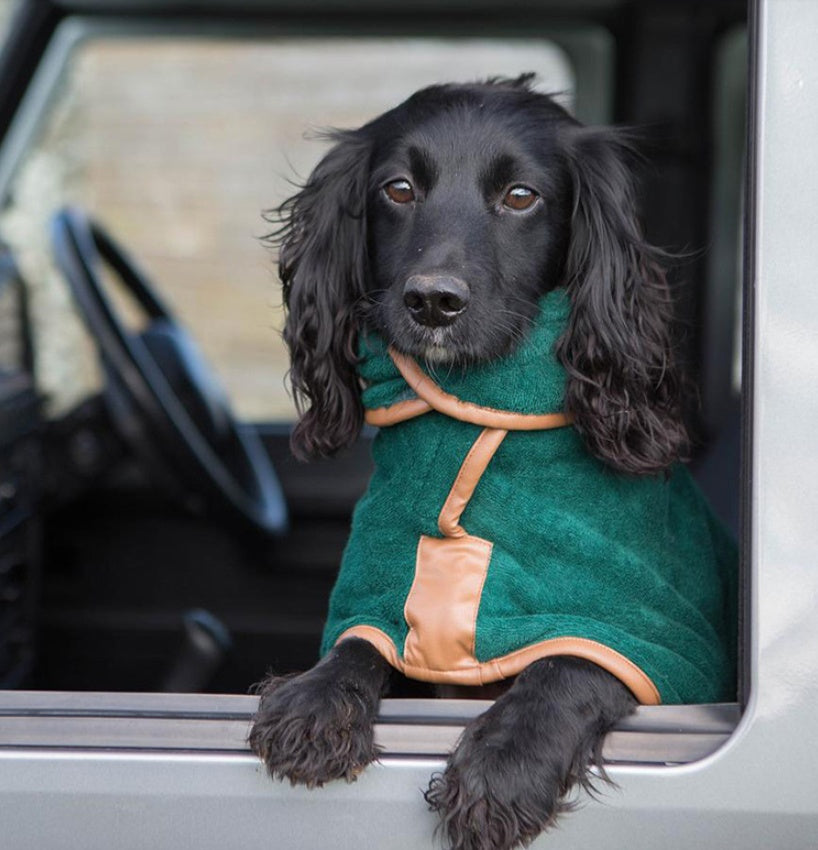 Transform Your Pet's Bath Time with Our Quick-Drying Absorbent Towel