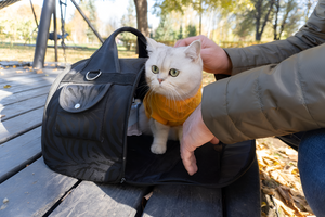 Choosing the Right Pet Carrier for Travel