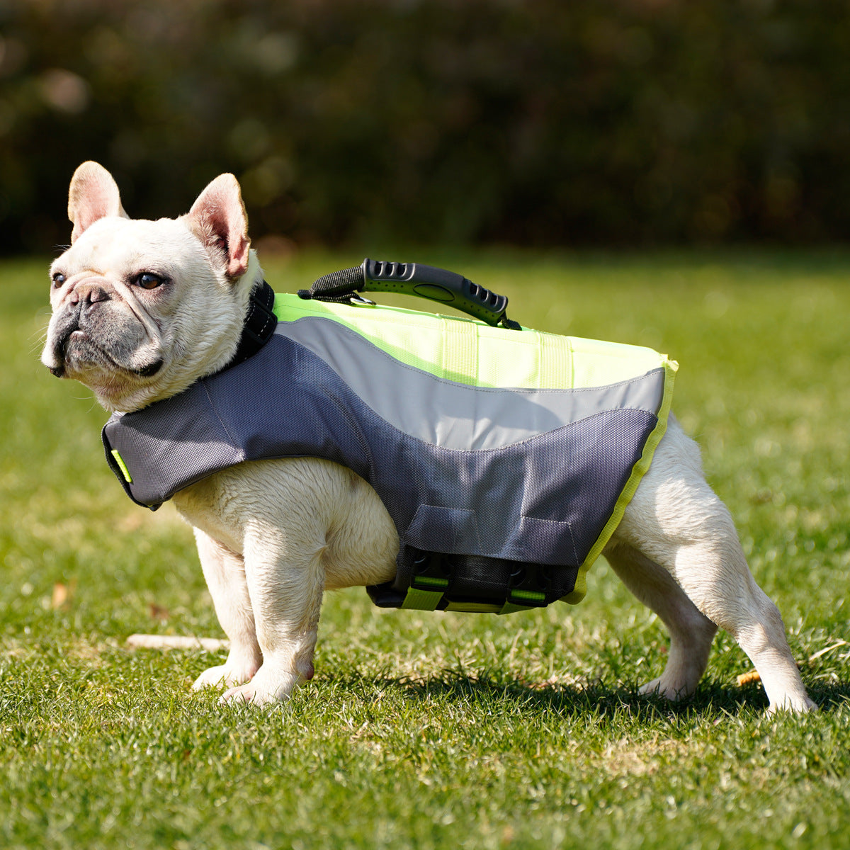 Reflective Pet Life Jacket Swimming Vest Safety Wear