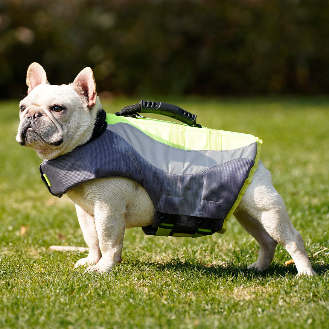 Reflective Pet Life Jacket Swimming Vest Safety Wear