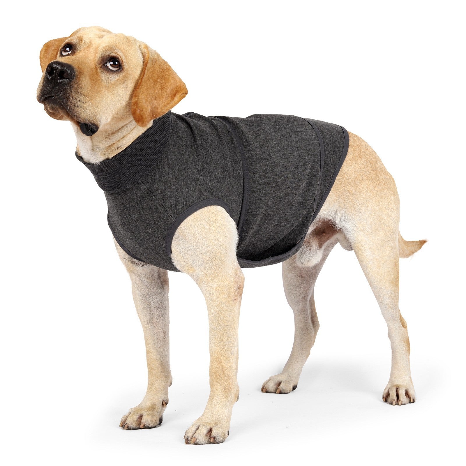 Polyester Cotton Pet Comfort Double-Layer Jacket