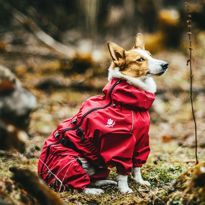 Four-Legged All-Inclusive Pet Sweater Cozy Full-Body Wear