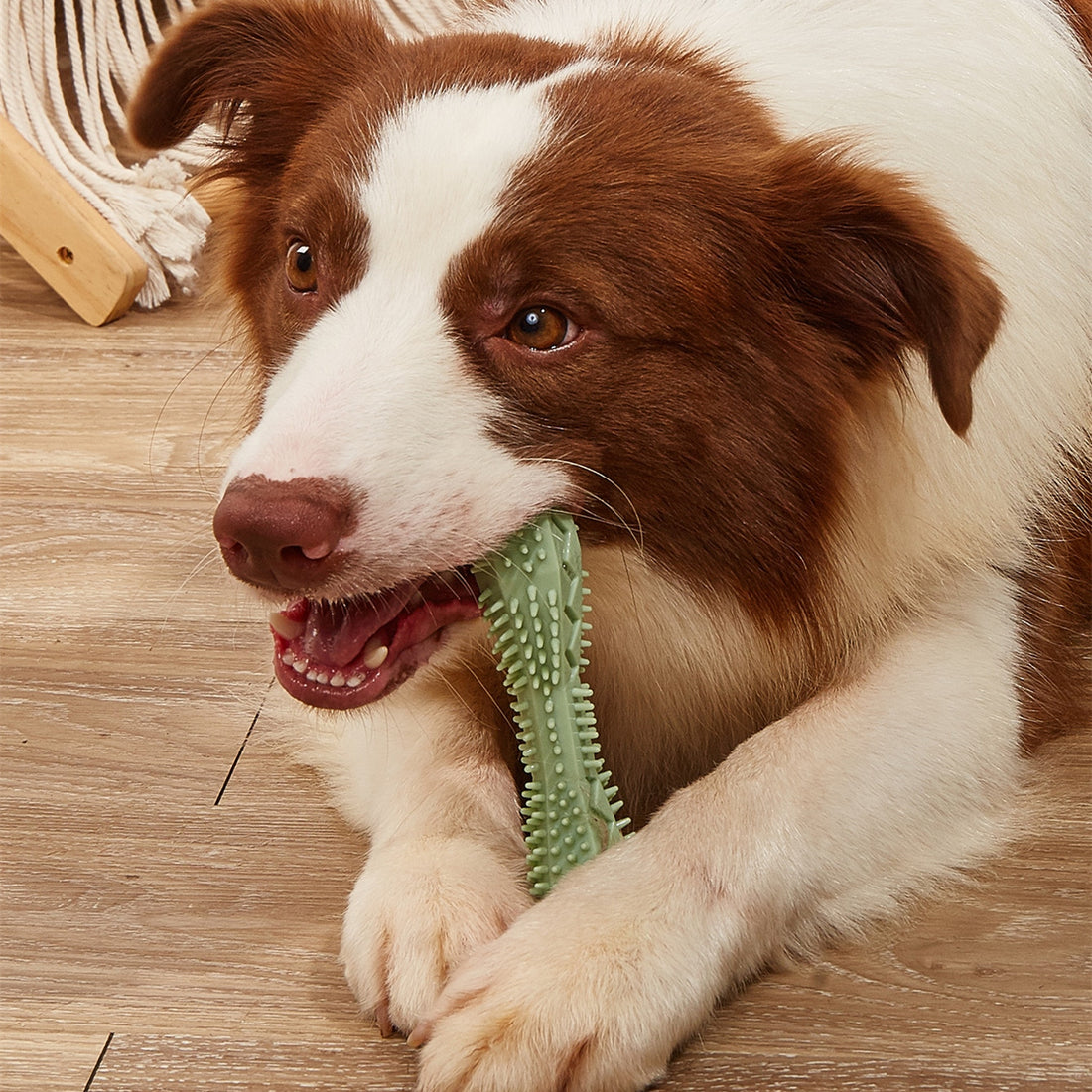 Dog Chew Toy Teeth Cleaning Dental Pet Toy