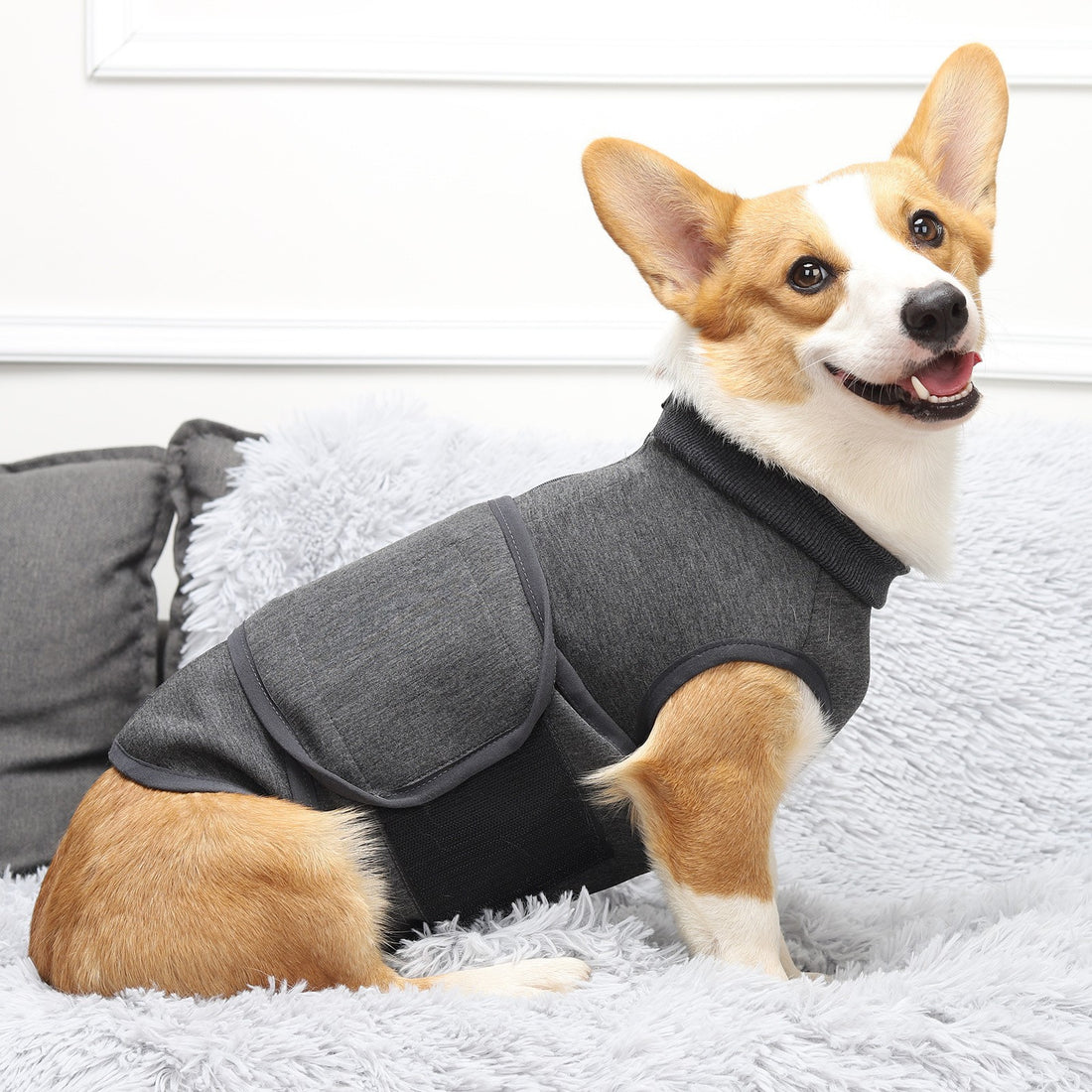 Polyester Cotton Pet Comfort Double-Layer Jacket