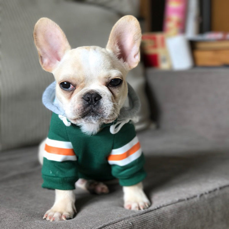 Cozy Knit Pet Sweater Comfortable Wear