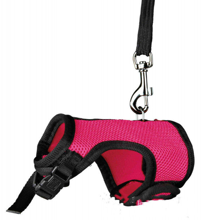Durable Small Pet Leash Comfortable Walking Strap