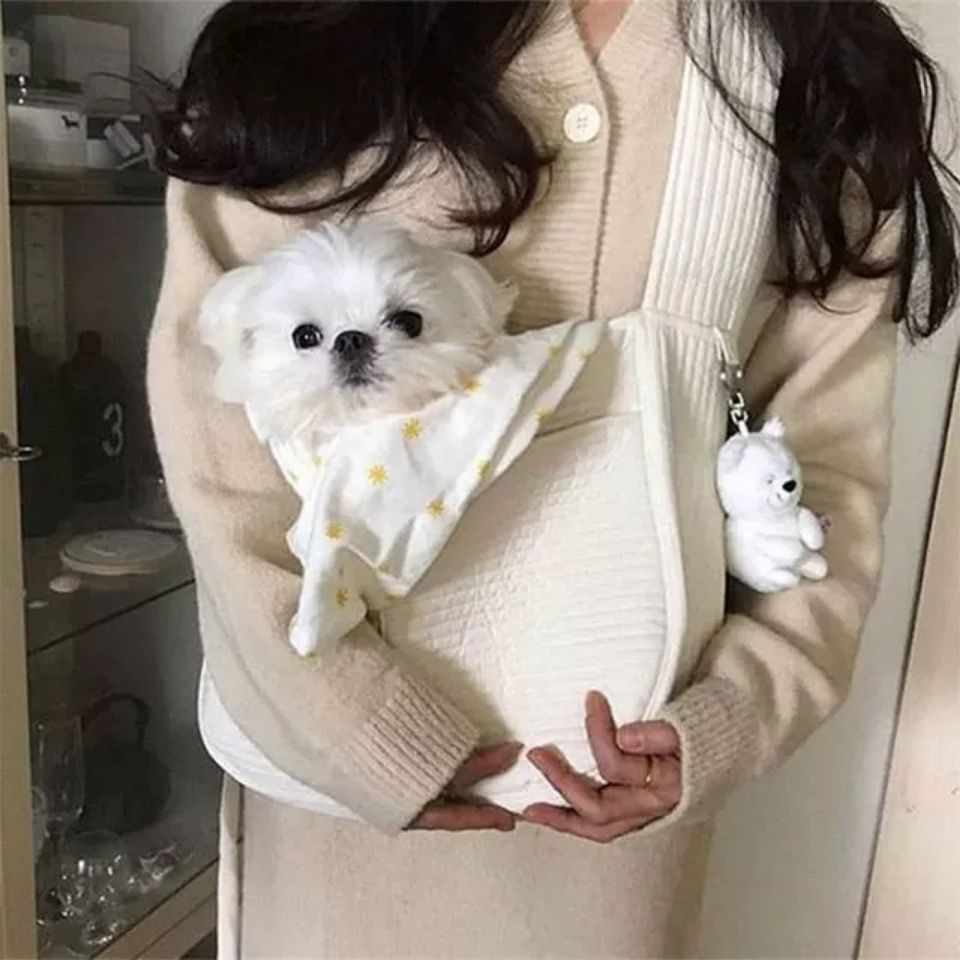 Handmade Canvas Pet Carrier Shoulder Tote Bag Breathable Travel Design
