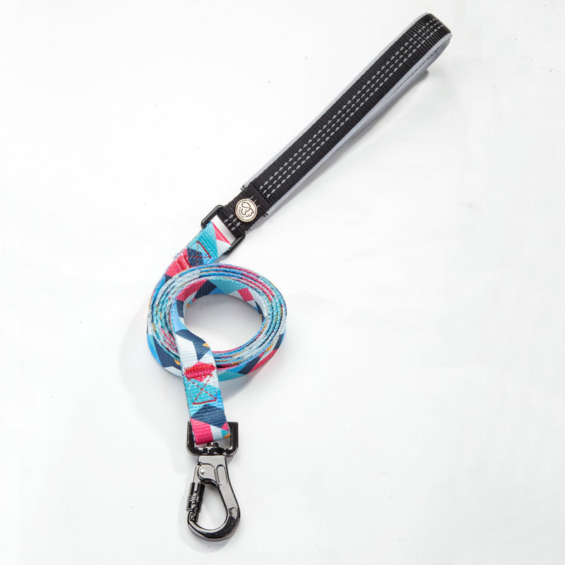 Durable Pet Leash For Safe Dog Walkin