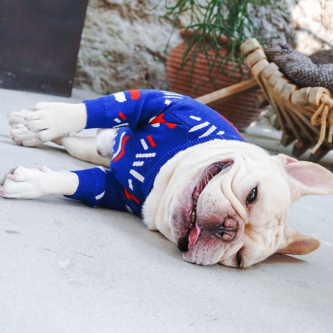 Cozy Knit Pet Sweater Stylish Dog Clothing