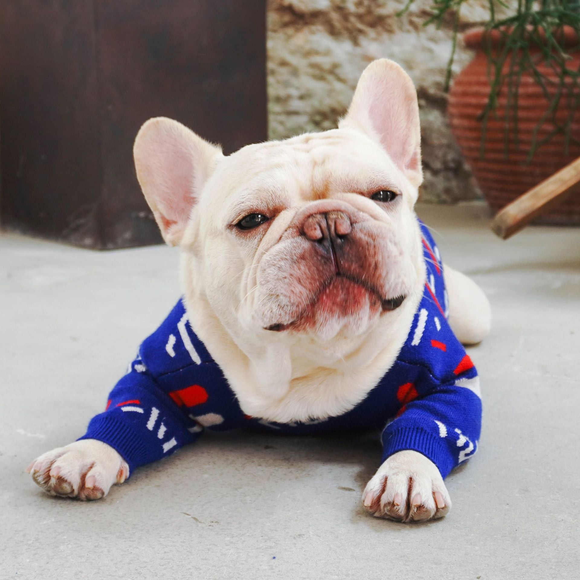 Cozy Knit Pet Sweater Stylish Dog Clothing
