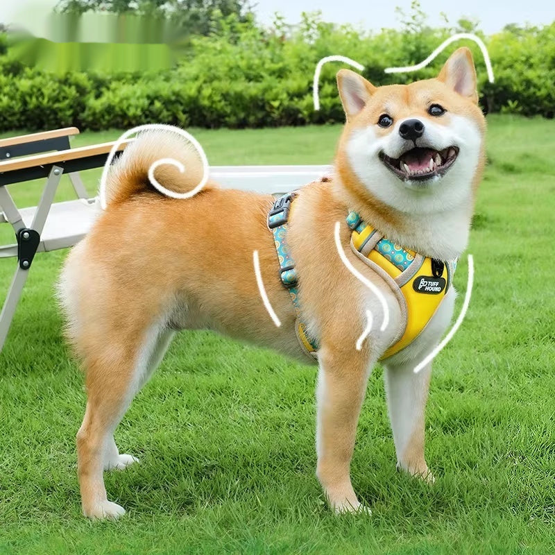 Pet Vest Harness With Walking Leash