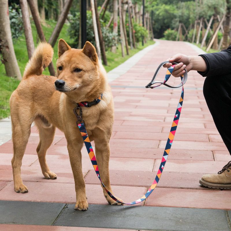 Durable Pet Leash For Safe Dog Walkin
