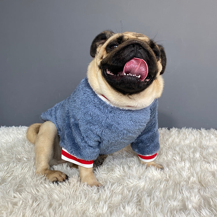 Cozy Knit Pet Sweater Warm Comfortable Wear