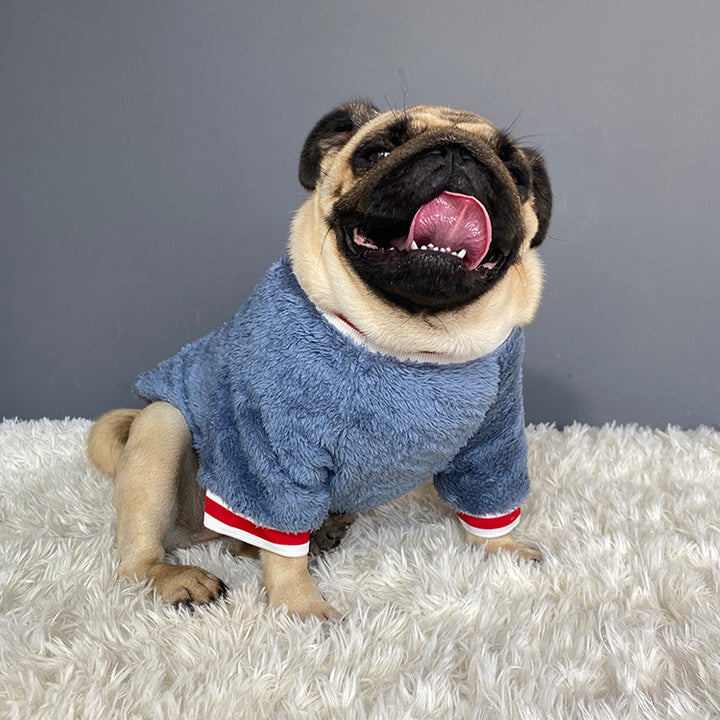 Cozy Knit Pet Sweater Warm Comfortable Wear