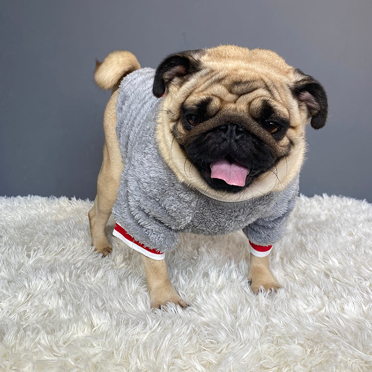 Cozy Knit Pet Sweater Warm Comfortable Wear