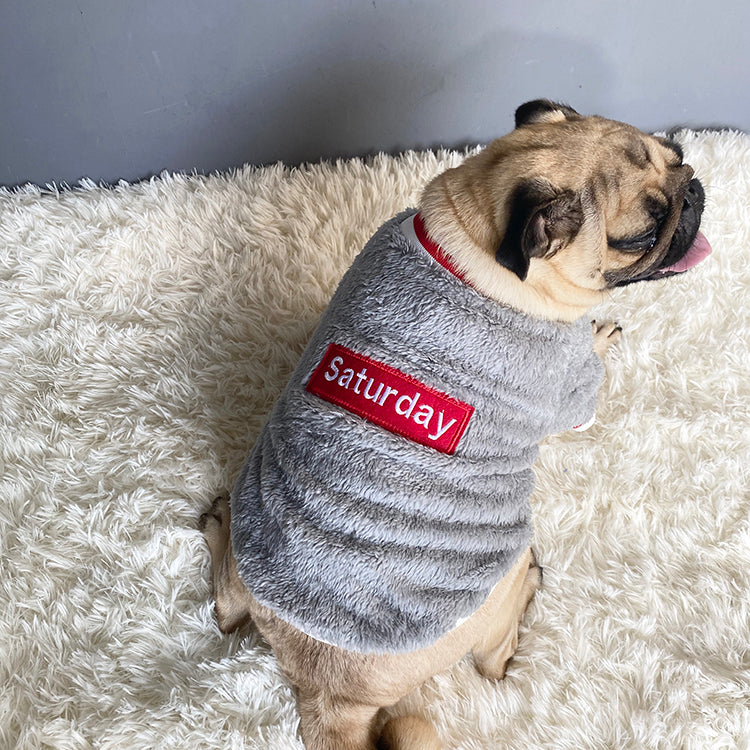 Cozy Knit Pet Sweater Warm Comfortable Wear