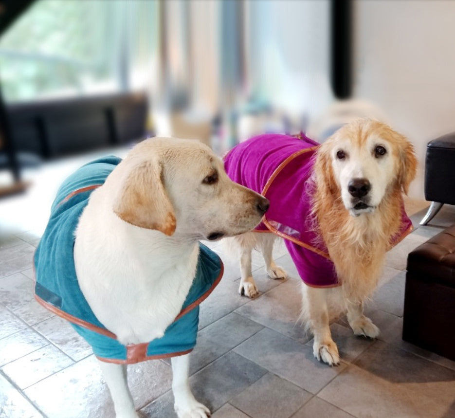 Quick-Drying Absorbent Pet Towel Soft Bath Cloth