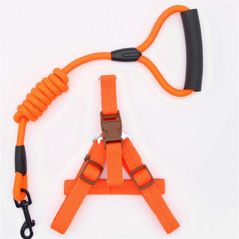 Simple Durable Pet Leash Comfortable Dog Walking Strap