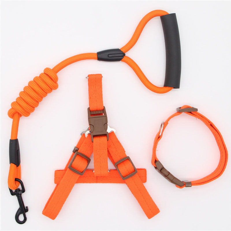 Simple Durable Pet Leash Comfortable Dog Walking Strap