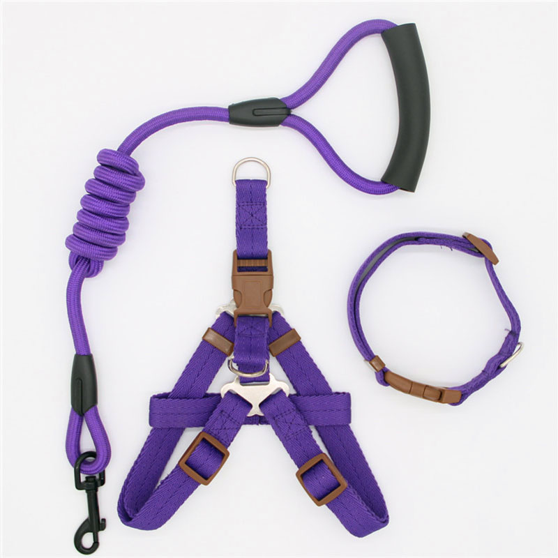 Simple Durable Pet Leash Comfortable Dog Walking Strap