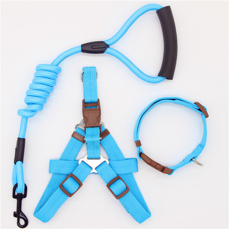 Simple Durable Pet Leash Comfortable Dog Walking Strap