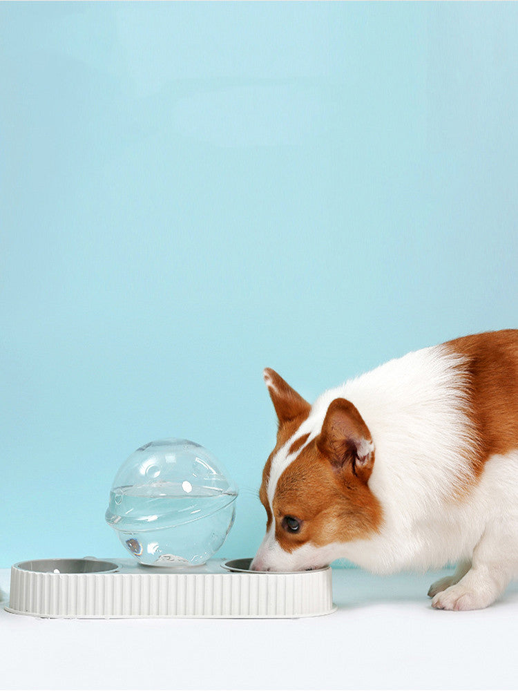 Automatic Plastic Feeding And Drinking Bowl For Pets