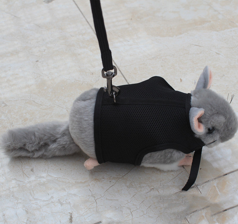 Durable Small Pet Leash Comfortable Walking Strap