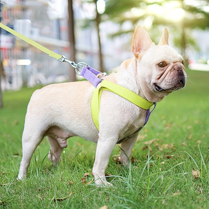 Rainbow Colorblock Pet Harness Set Anti-Escape Vest With Leash