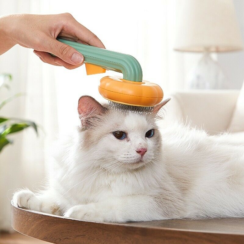 Pet Pumpkin Self-Cleaning Slicker Brush for Dogs and Cats
