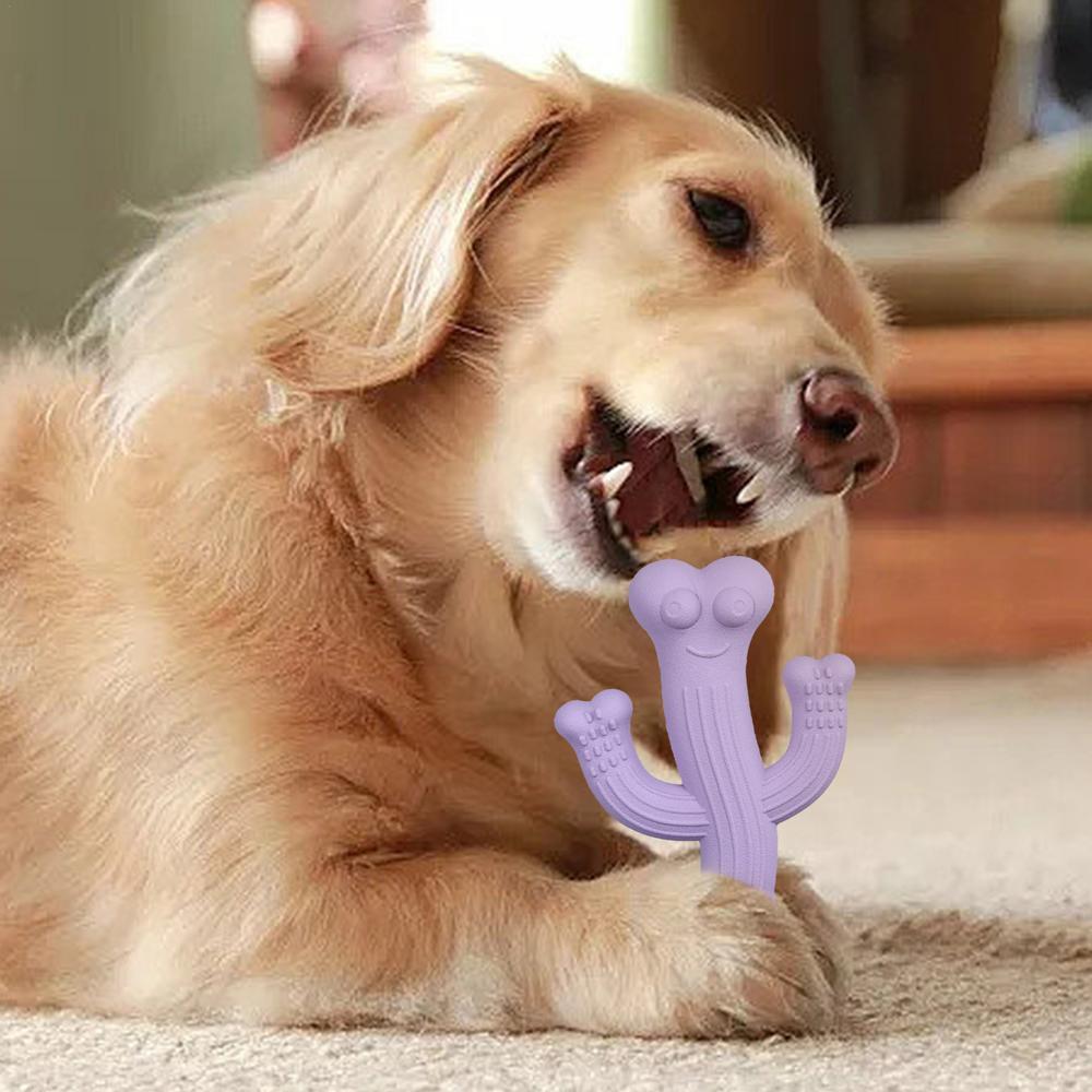 Cactus Chew Toy Durable Interactive Pet Toy for Dogs