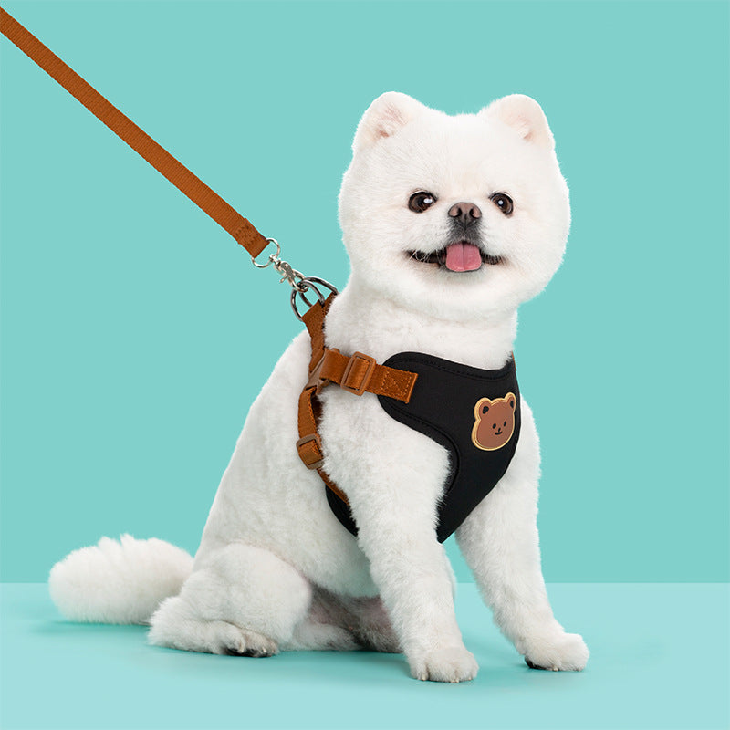 Durable Pet Leash Strap for Safe Outdoor Walking