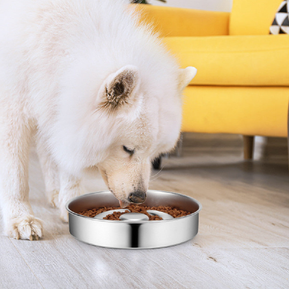 Stainless Steel Slow Feeding Bowl With Neck Protection Desi