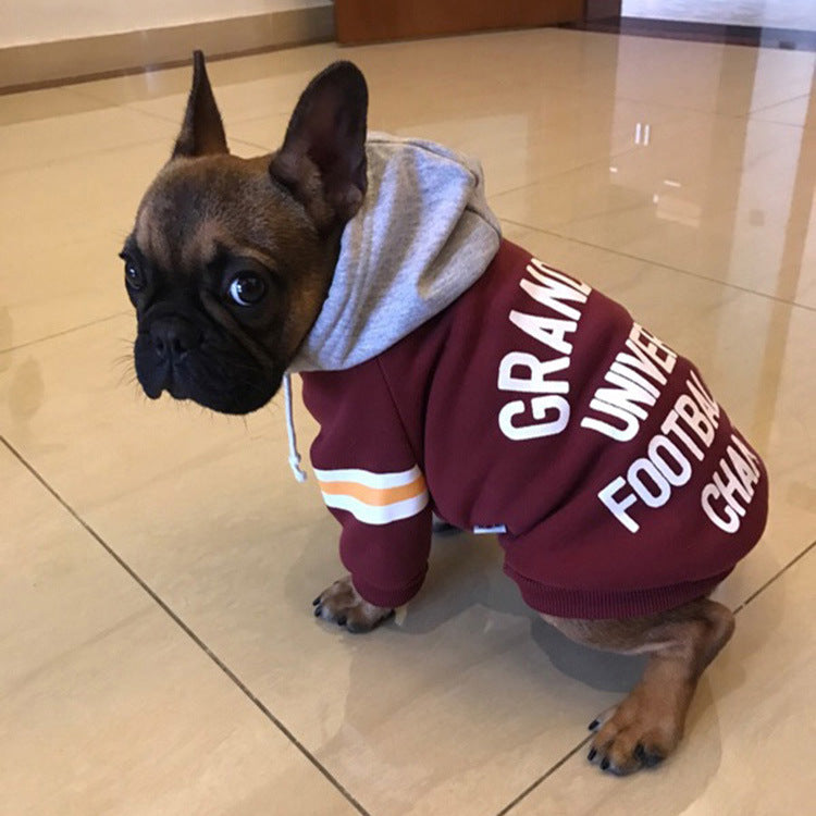 Cozy Knit Pet Sweater Comfortable Wear