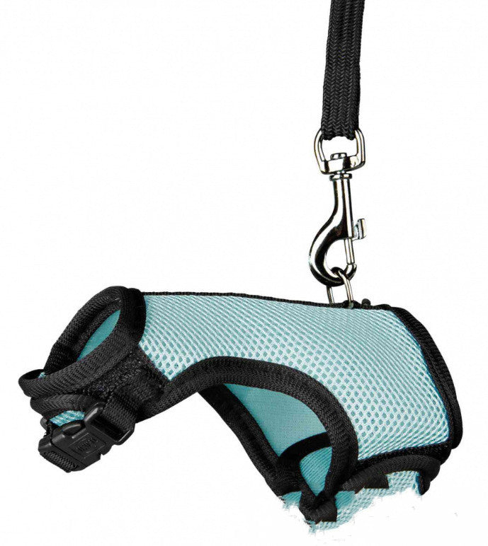 Durable Small Pet Leash Comfortable Walking Strap
