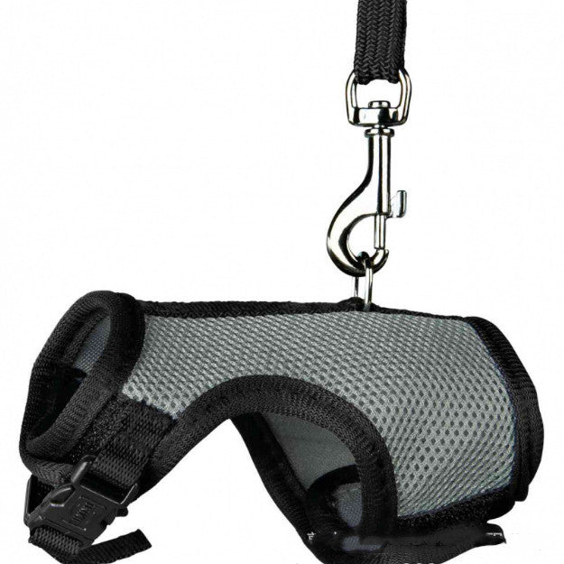 Durable Small Pet Leash Comfortable Walking Strap