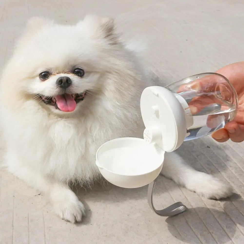 Portable Travel Water Bottle With Bowl And Lanyard For Pets