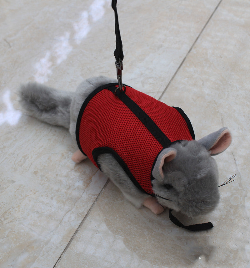 Durable Small Pet Leash Comfortable Walking Strap