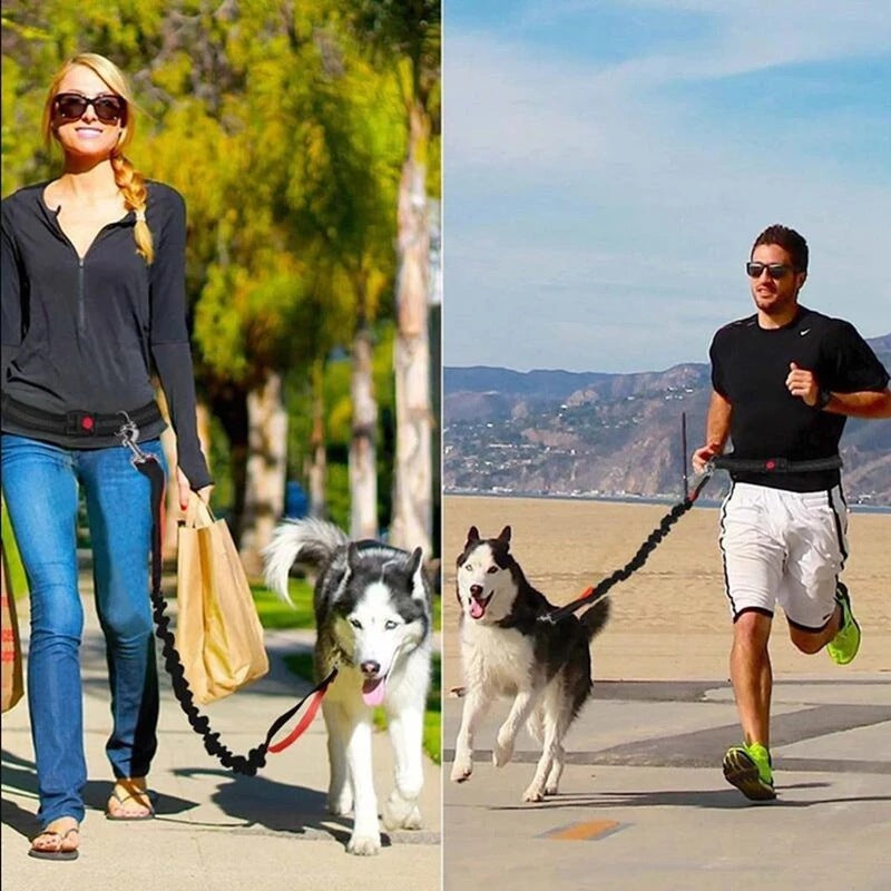 Adjustable Pet Harness Collar With Jogging Leash