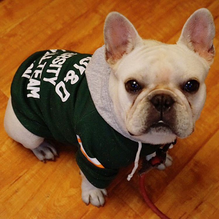 Cozy Knit Pet Sweater Comfortable Wear