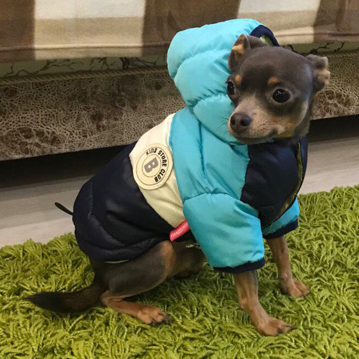 Waterproof Cotton-Padded Pet Jacket Warm Outdoor Coat