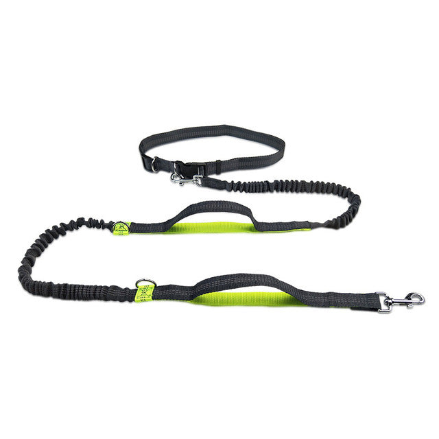 Adjustable Pet Harness Collar With Jogging Leash