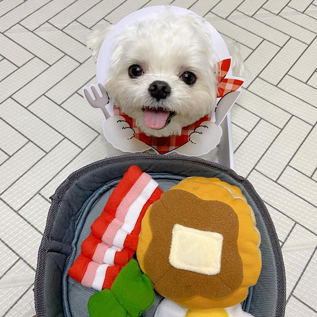 Interactive Dog Food Puzzle Toy Hide-and-Seek Treat Dispenser