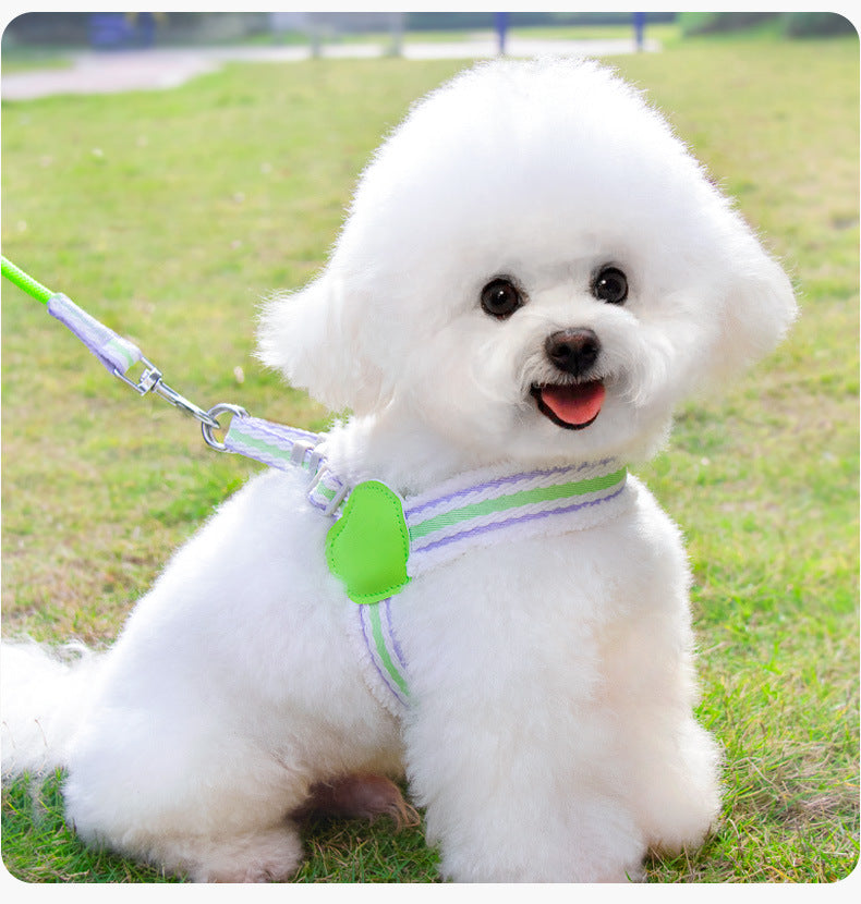 Breathable Summer Pet Harness Vest With Leash For Small Dogs