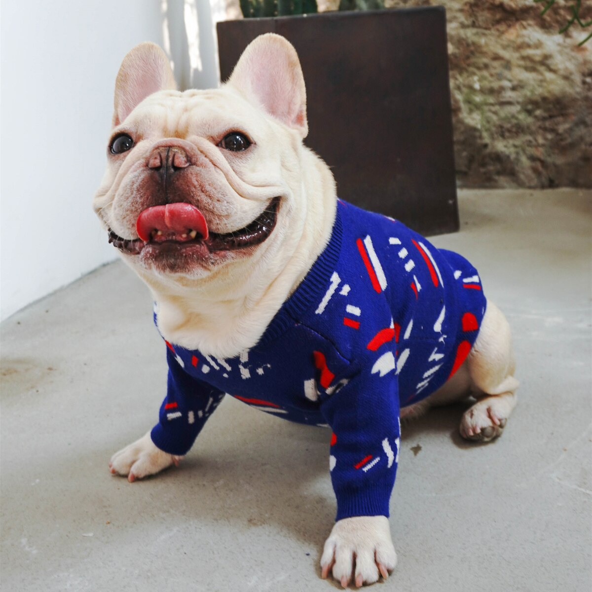 Cozy Knit Pet Sweater Stylish Dog Clothing