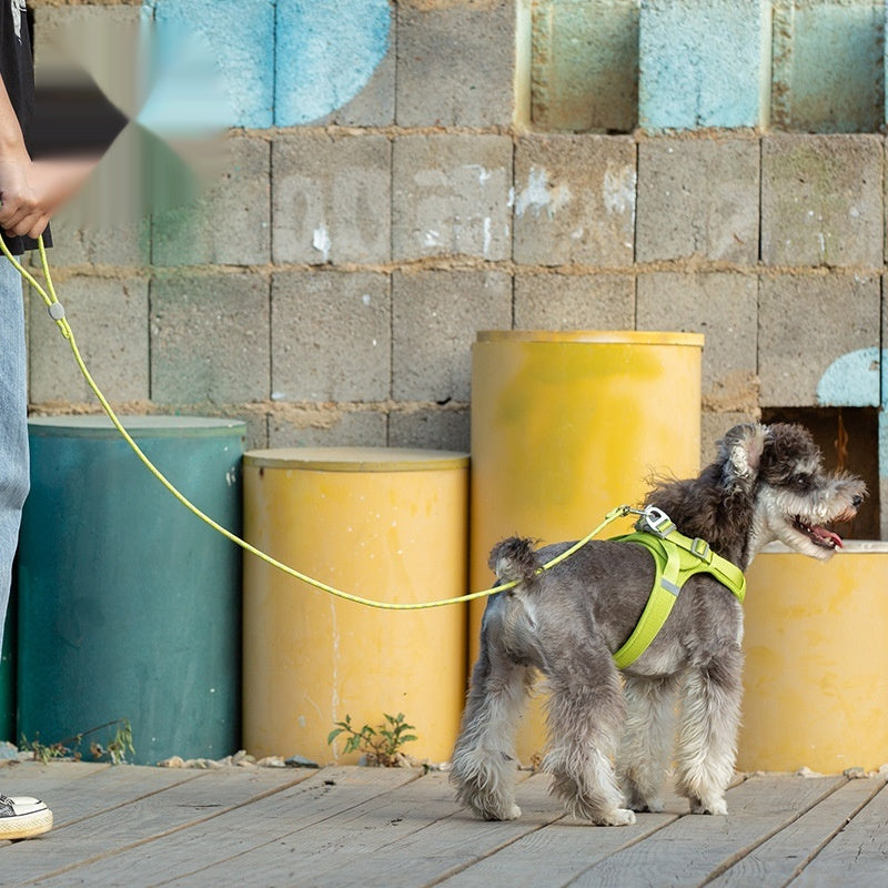 Colorful Adjustable Sliding Pet Leash Durable Walking Strap