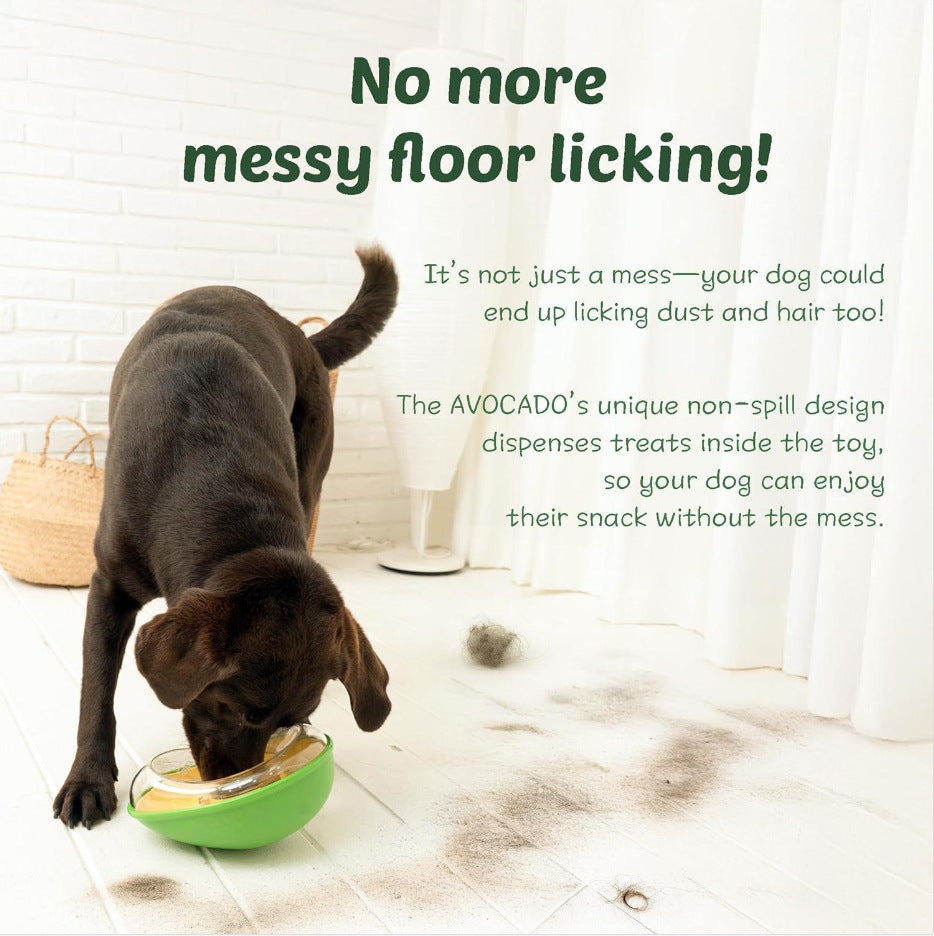 Anti-Tumble Avocado Pet Feeding Bowl Non Slip Stable Design