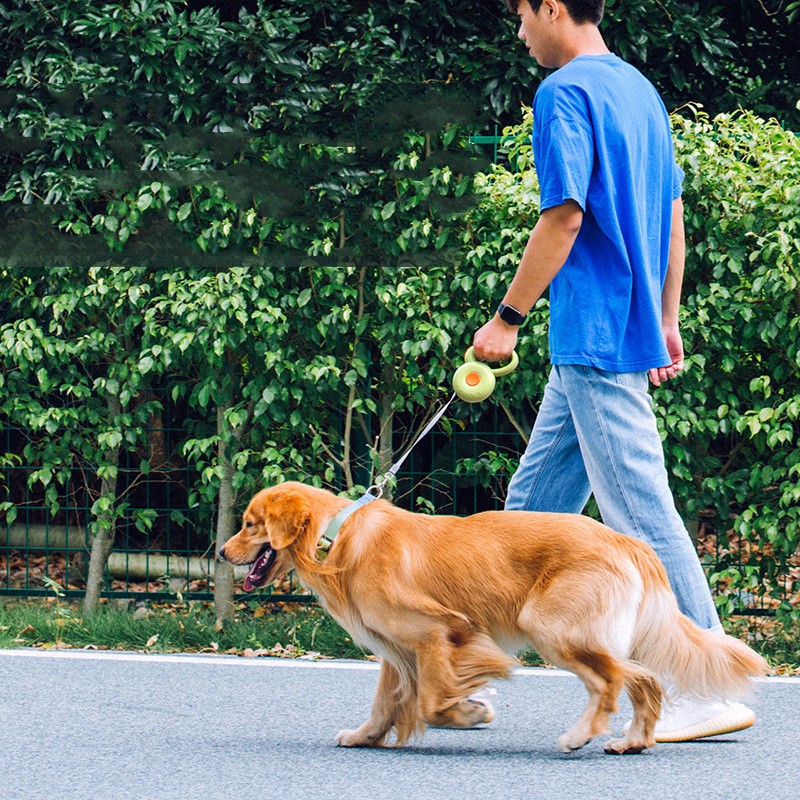Retractable Reflective Pet Leash Durable Dog Rope