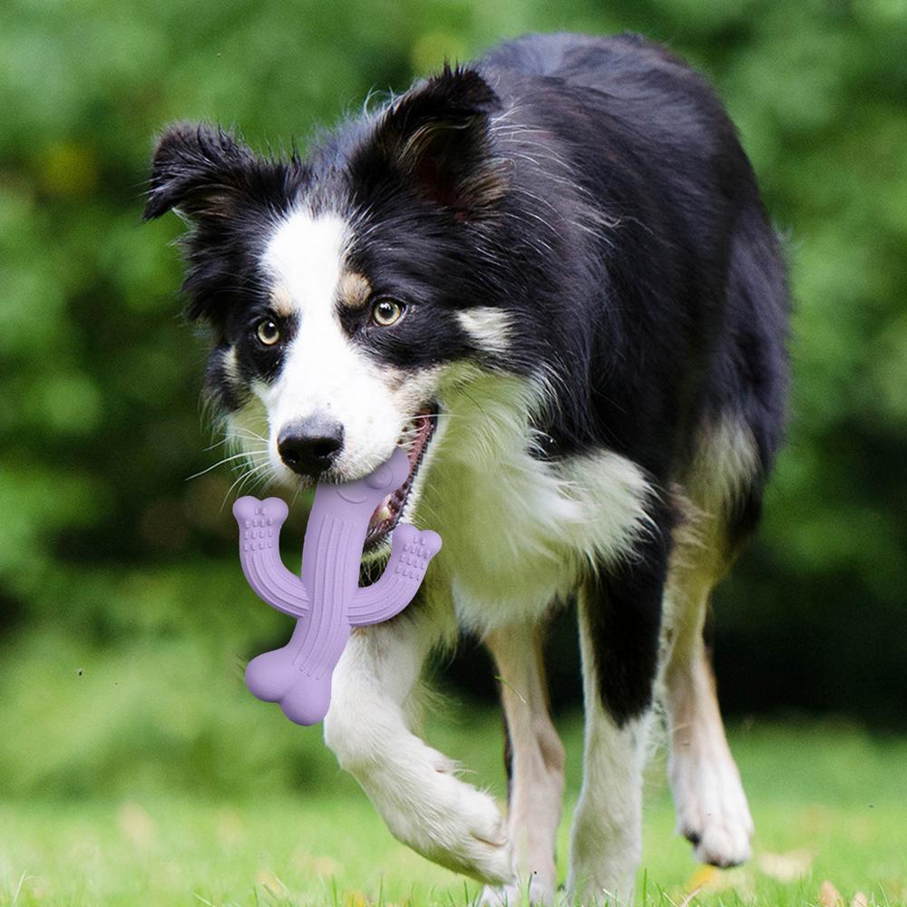 Cactus Chew Toy Durable Interactive Pet Toy for Dogs
