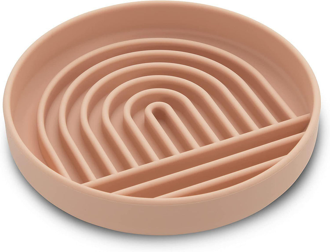 Simple Fashion Slow Feeding Bowl For Everyday Use